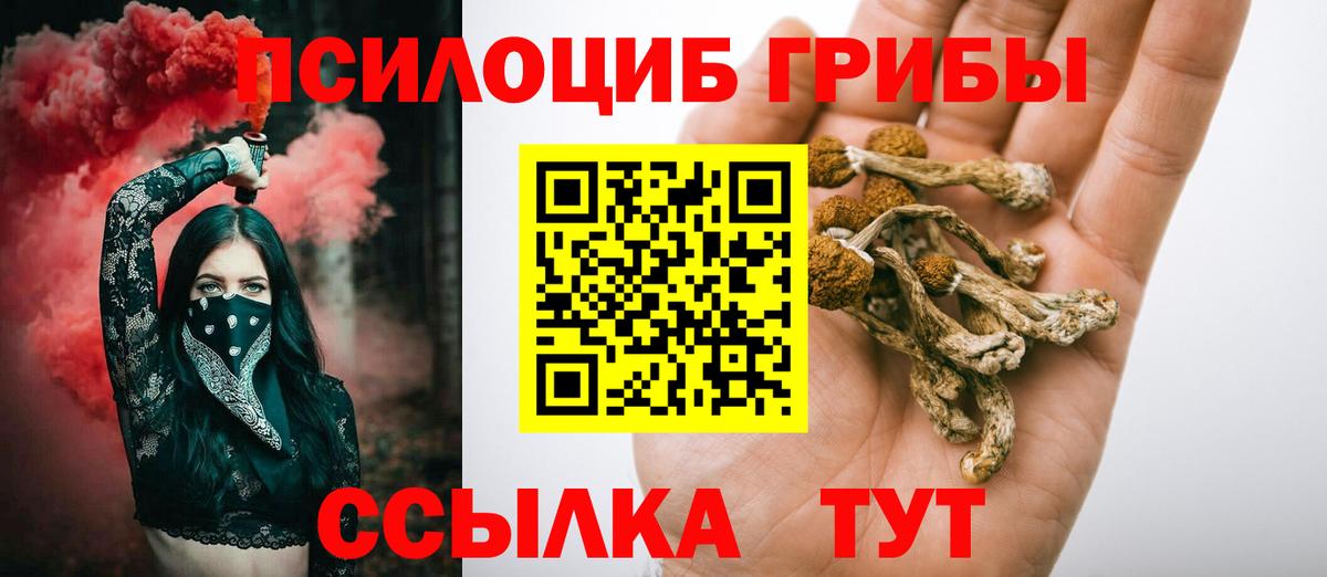 Псилоцибиновые грибы Psilocybine cubensis Майский
